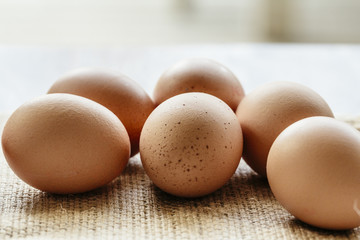 Brown eggs on hessian