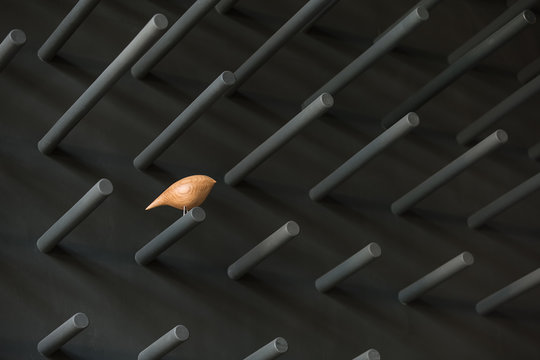 Wooden bird on the pin