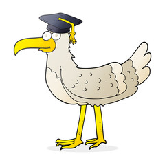 cartoon seagull with graduate cap