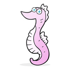 cartoon seahorse