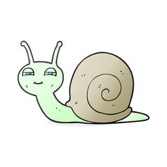 cartoon cute snail