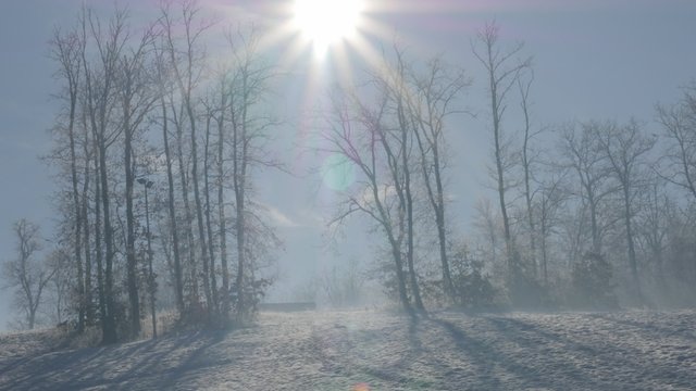 Trees on Kraljevica park hill under snow 4K 2160p UHD footage - Hills and forest near town of Zajecar covered with snow 4K 3840X2160 UHD video