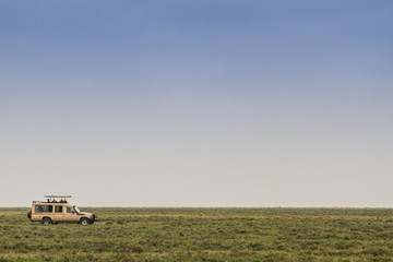 Safari In Serengeti