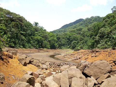 African Landcape