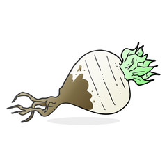 cartoon turnip