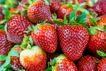 Strawberry, Fruit, Close-up, Group of Objects