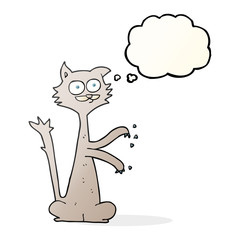thought bubble cartoon cat scratching