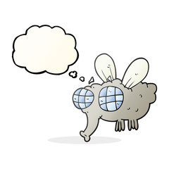 thought bubble cartoon fly