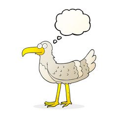 thought bubble cartoon seagull