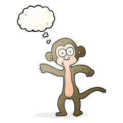 thought bubble cartoon monkey