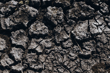 Crack soil on dry section