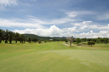 Fototapeta na wymiar golf place with nice green