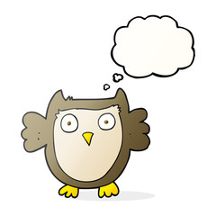 thought bubble cartoon owl