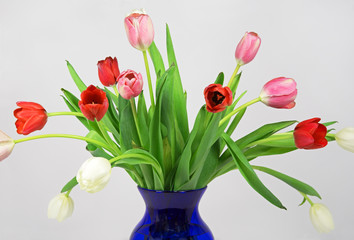 Early Spring Tulip Bouquet