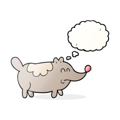 thought bubble cartoon small fat dog