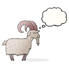 thought bubble cartoon goat