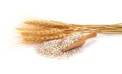 Barley grains isolated on white background.