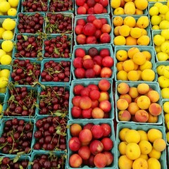 Colorful fresh fruit at New York City farmers market