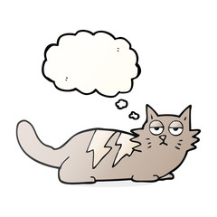 thought bubble cartoon cat
