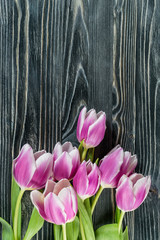 Fototapeta premium Holiday Tulip Flowers on Wooden Background