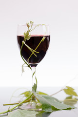 Red wine in glass with grape leaves