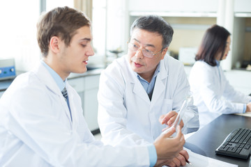 Fototapeta premium people doing chemical experiment in modern lab