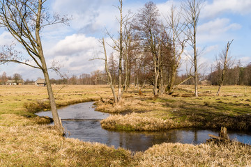 Łąka i rzeczka © podlaski49