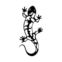Obraz premium salamander logo