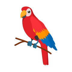 Red brazil parrot icon, cartoon style