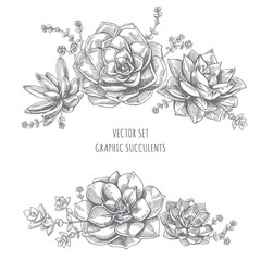 Floristic composition of succulents. - obrazy, fototapety, plakaty