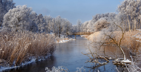 wonderful winter scene