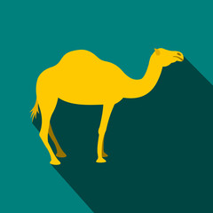 Camel icon, flat style