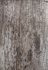wooden line texture background