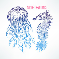 hand-drawn seahorse and jellyfish © melazerg