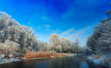 frosty winter morning on the river