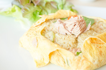 Fried rice with curry tuna wrapped eggs