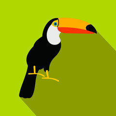 Toucan icon, flat style 