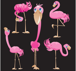 Fototapeta premium Flamingos cartoons.