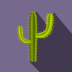Cactus icon, flat style