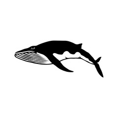 Whale Logo