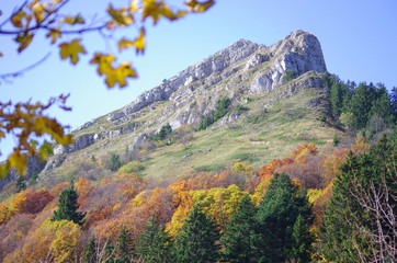 paysage de chartreuse - la pinéa