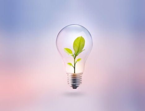 light bulb with energy and fresh green leaves inside on pastel 