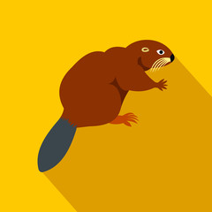 Beaver icon, flat style