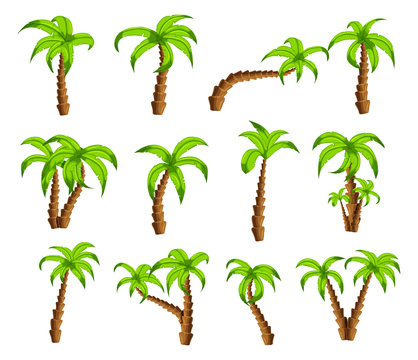 Cartoon green palm trees on a white background. Set of isolated funny cartoon tropical trees patterns icons, for filling your sky scenes or the game interface backgrounds, Vector