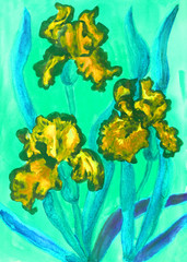 Three yellow irises, watercolor