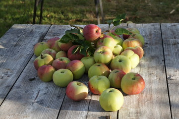 wonderful rustic apples