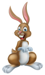 Cartoon Easter Bunny