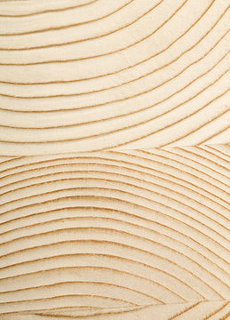 Texture di legno con linee curve