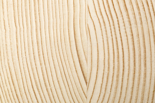 Texture di legno