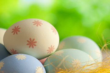 Easter eggs in the nest on nature background